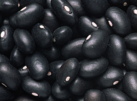 blackbean